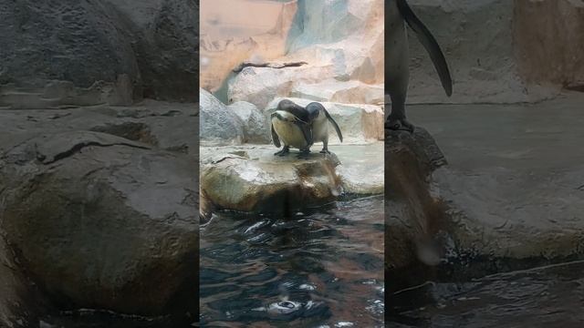 зоопарк