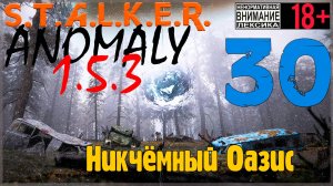 S.T.A.L.K.E.R. Anomaly 1.5.3 ☢ 30 Никчёмный Оазис