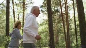 Здесь музыка - не просто фон, а живое дыхание самой природы - Advantages  Disadvantages -- A. Cooper