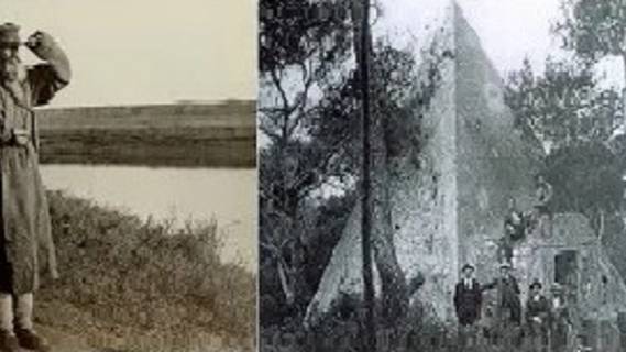 Неожиданная находка лесника. 1900 год
