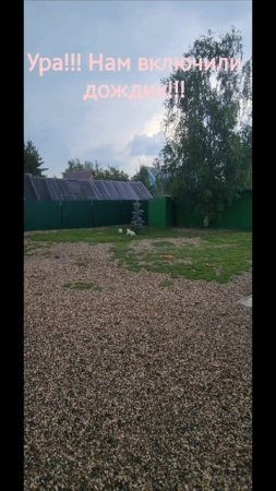 Немного свежести