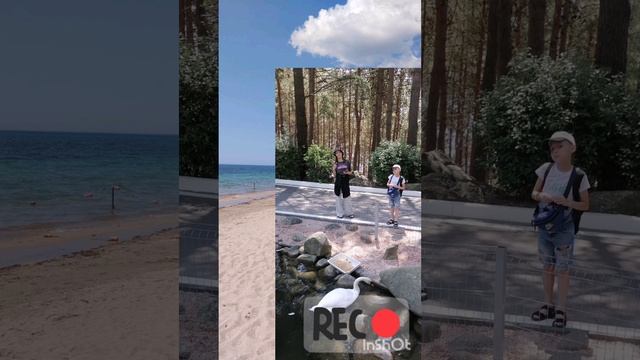 💖Евпатория, заезд с 1.06 по 21.06. 25