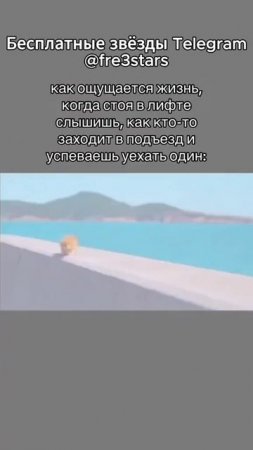 @fre3stars Бесплатные звезды и подарки телеграм #мемы #приколы #ржака #звезды #подарки #телеграм #тг