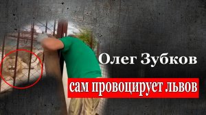 Олег Зубков сам провоцирует львов напасть, 12 июля