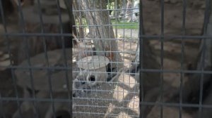 Путешествие в Калужскую область