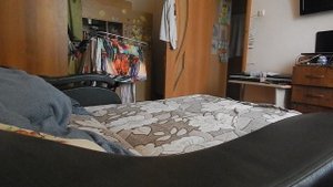 СОБАКА УВИДЕЛА КАМЕРУ