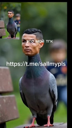 тгк https://t.me/sallmypls