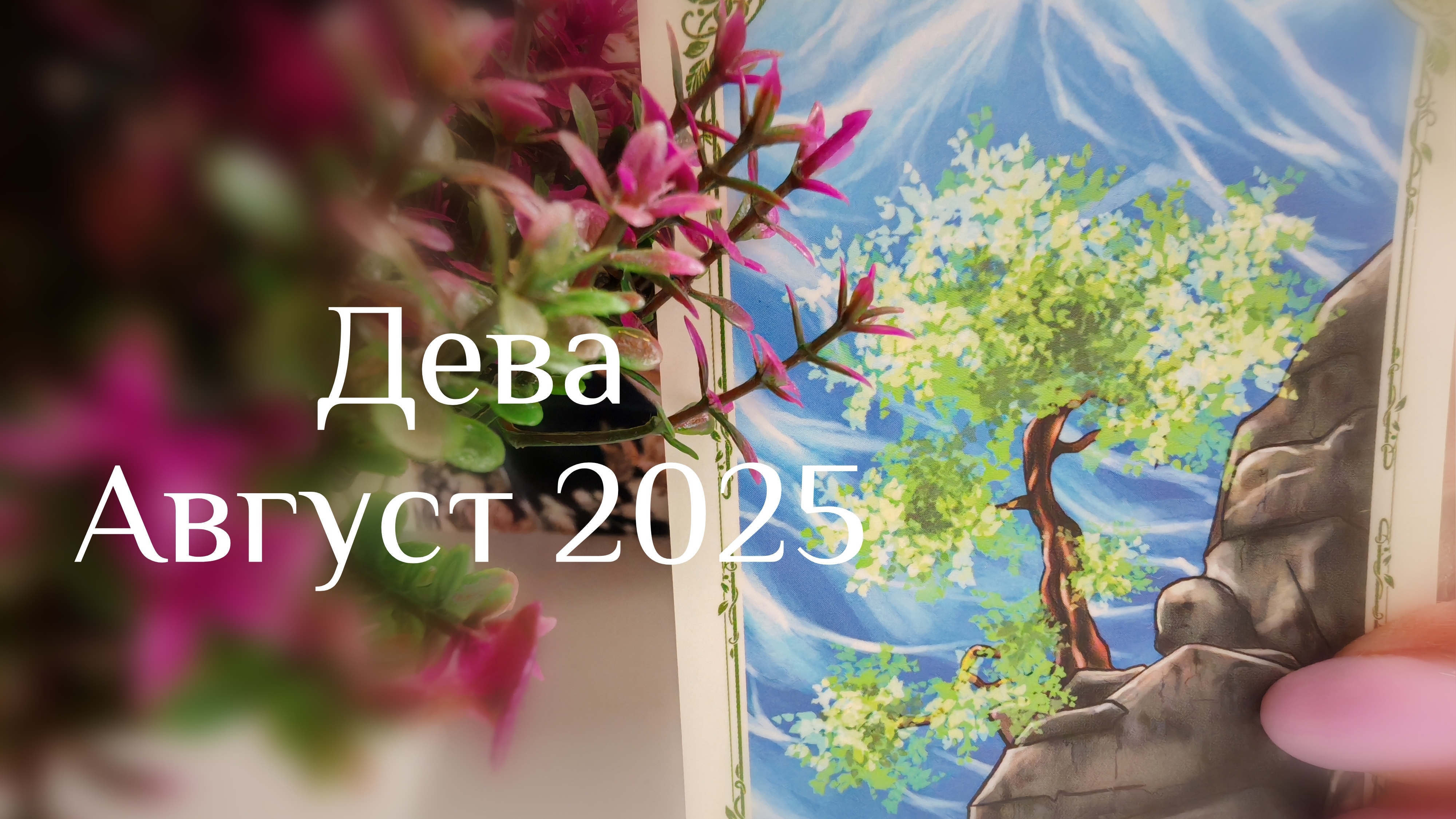 Дева : Август 2025 Таро /Прогноз