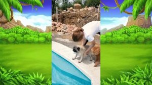 Возвращение. Животные на даче| Смешные пушистые друзья| 10 выпуск 1 сезон от 27.06.2025.