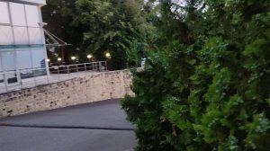 День второй отдыха в Хосте.12.07.25.