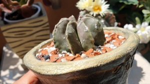 Как мы проводим Лето🌞🌺