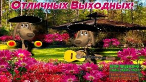 С ДОБРЫМ УТРОМ! ПРИЯТНЫХ ВЫХОДНЫХ!