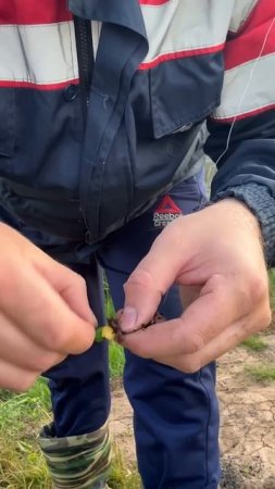Какие РЫБАКИ изменяют?!