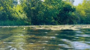 Лето в деревне. Карай-Салтыково. 12 июля 2015 год.