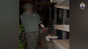‼️В лесу под Домодедово 16-летний парень напал с молотком на двух девушек 13-ти и 16-ти лет‼️