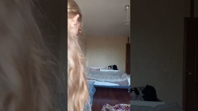 робот с Авито