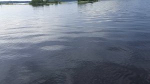 Сортавала.Форель.