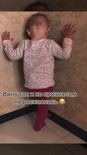 Животные приколы и не только