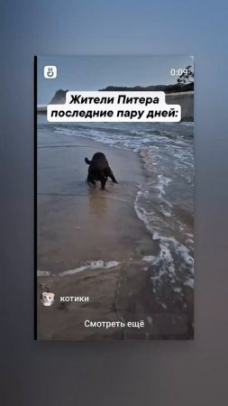 1000000730.mp4