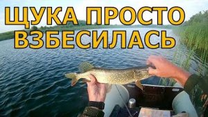 Июль.Щука бросилась на железо на каждом забросе. Ловля щуки в июле,судак,окунь