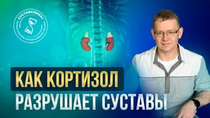 Как кортизол разрушает суставы. ( Как кортизол превращает суставы в труху?)