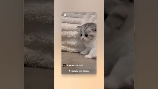 1000000729.mp4