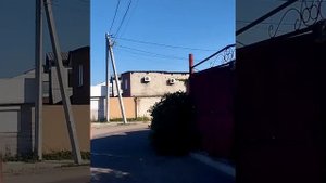 Первая покатушка на Zaxboard ES-9