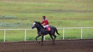 Скаковой день 11 июля. Дистанция 2400 м. Атлант Барс