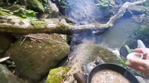 Костёр у реки /🌴 ужин в лесу/ relax под звуки природы 💋/ исцеляющая сессия