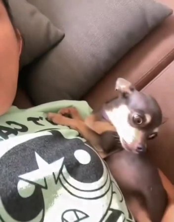 Подпишись 👉 https://vk.com/ykrasheniy_iz_kamny