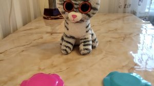 Задания с кнопками для кошки Мани