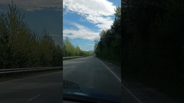 лес горы...красота.
