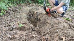 petal_20250712_223701.mp4