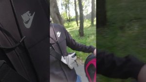 ЛЕЧЕНИЕ КОШКИ ПРОДОЛЖАЕТСЯ / МЯУРИЦЦИО / VLOG / 12. 07. 2025