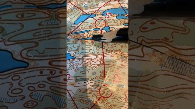 12.07.25 Кубок Карьеров, Бобровые озера, м21, четко, но ногами надо быстрее…
