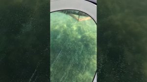 На катере Лукер обследование побережья Анапы в  Черном  море . 10.07.2025 г. Россия.