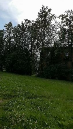 Дорожка