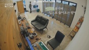 BTS___In_The_Soop_ 1 сезон 2 серия (озвучка) БТС в лесу _ БТС на лужайке _ Бантаны в лесу