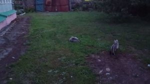 Жизнь в глубинке России