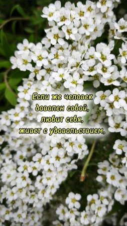 Ваше отражение #мышление #мотивация #саморазвитие