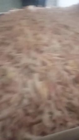 Привезли еду в приют