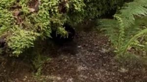 1000001826.mp4