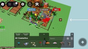 2 бага как улетать на Гаити в вырасти сад