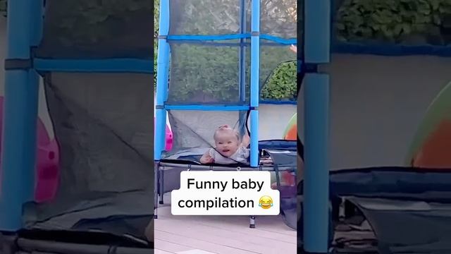 Животные приколы и не только