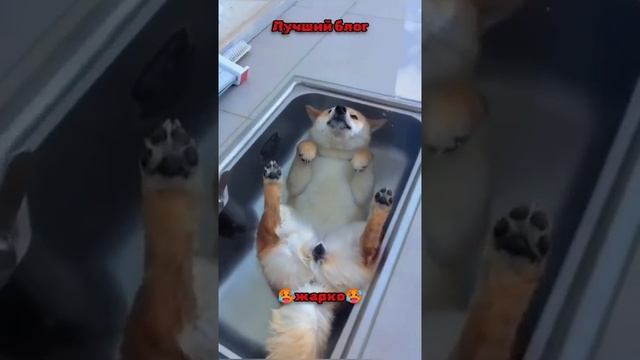 ЖАРКО🥵 очень жарко 🤣🥵