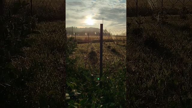 Солнце встаёт