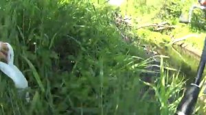 Рыбалка на спиннинг