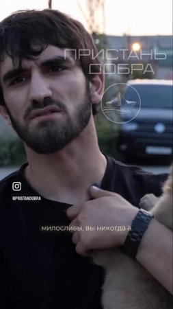 Люди, будьте милосерднее