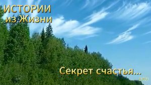 Истории из жизни: ✅ Секрет счастья... Аудио рассказы Жизненные истории