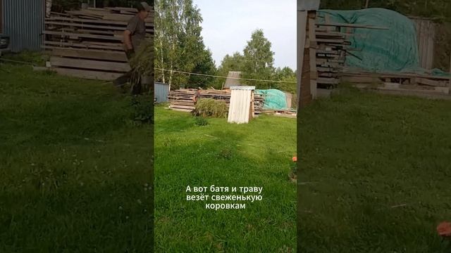 Непринуждённая жизнь.